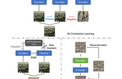 Billion-scale Foundation Model
