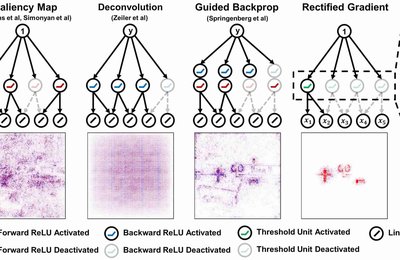 Why are Saliency Maps Noisy