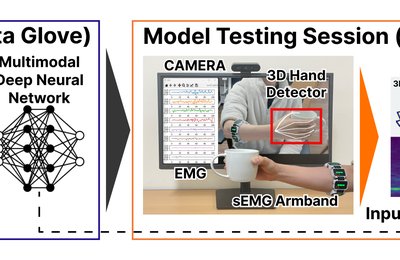 Posture-Informed Muscular Force